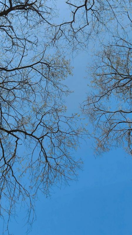 光阴似箭，日月如梭！