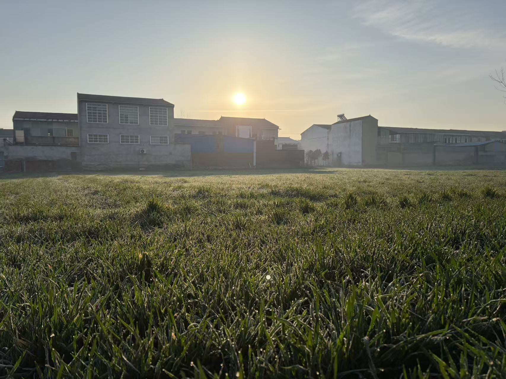 你有多久没见过家乡的四季了？