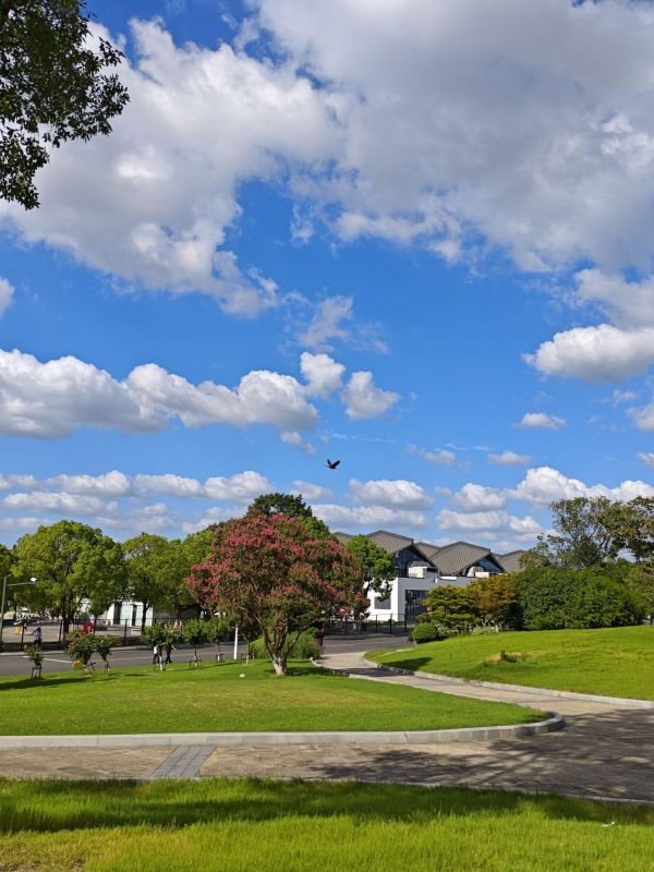 常州花博园一日游 【常州】