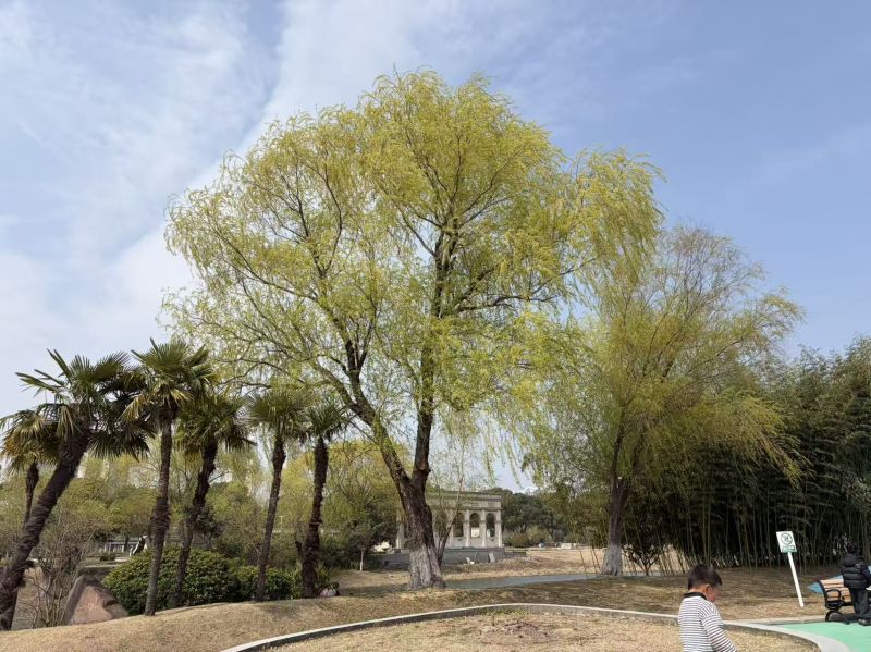 张雪峰老师：人生真好玩 下辈子还来！