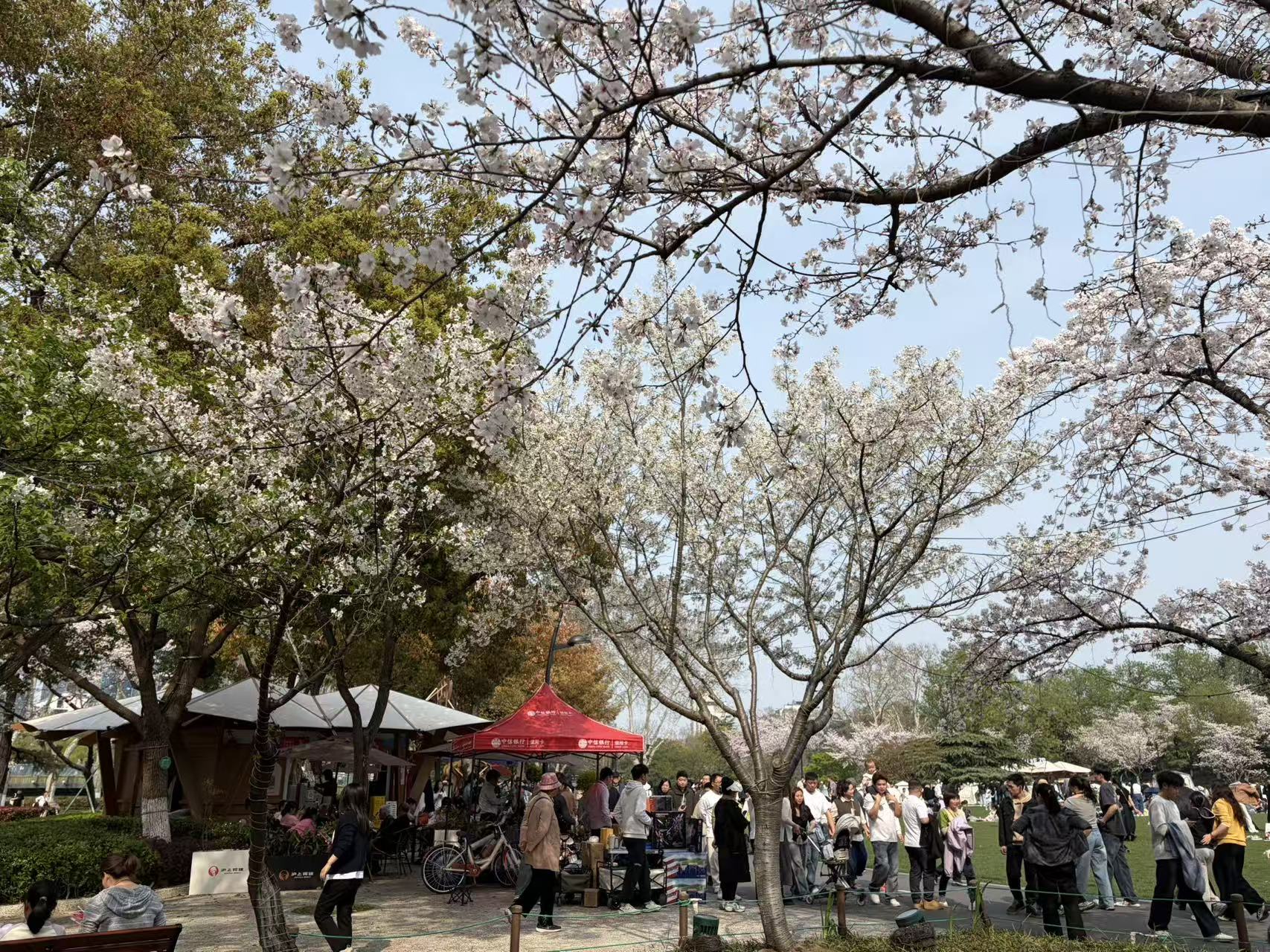 欣赏着美丽的夕阳和熟睡中的你