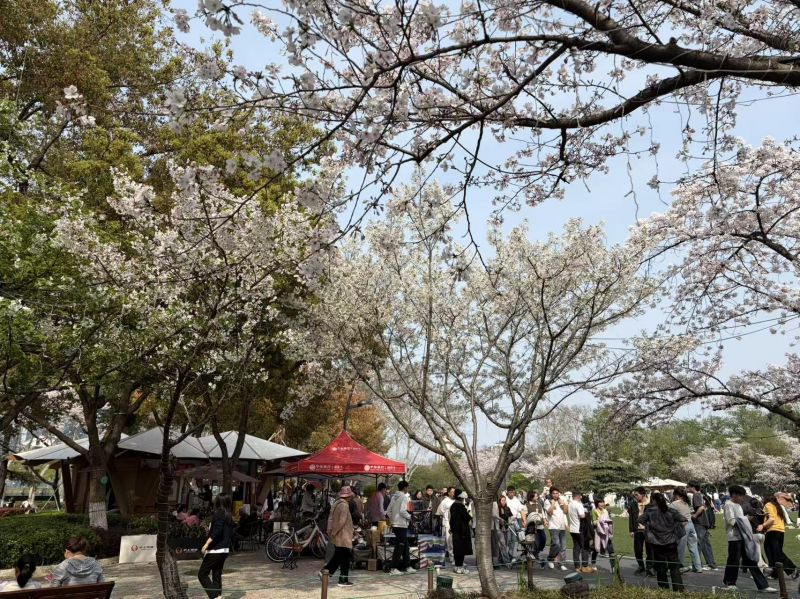 欣赏着美丽的夕阳和熟睡中的你